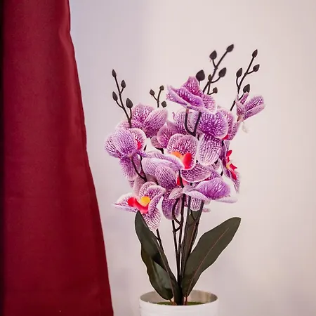 Jm Lubicz Ii Kraków