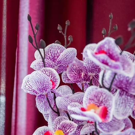 Jm Lubicz Ii Апартаменты Краков