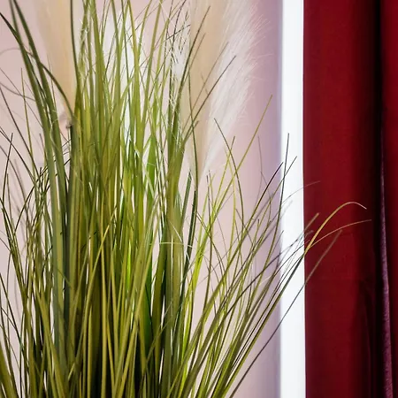 Lejlighed Jm Lubicz Ii Kraków