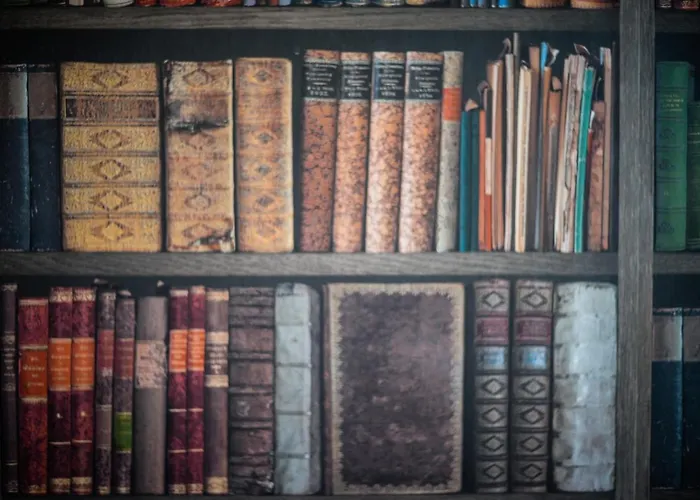 Jm Lubicz Ii * Kraków