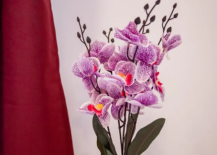 Jm Lubicz Ii Kraków