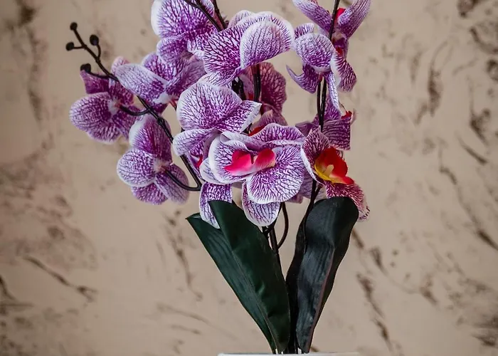 Jm Lubicz Ii Lejlighed *