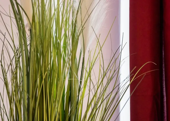 公寓 Jm Lubicz Ii 克拉科夫