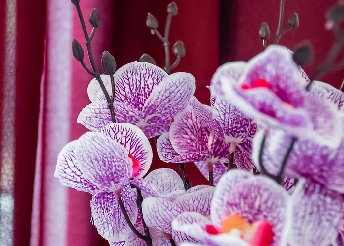 Jm Lubicz Ii Appartement Cracovie