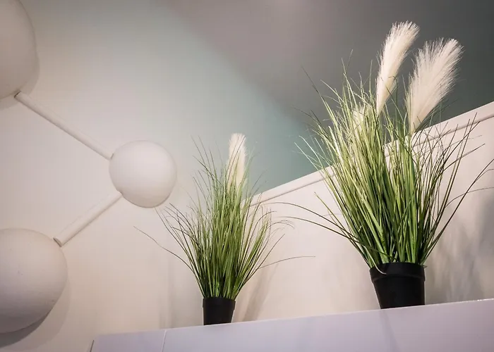 Jm Lubicz Ii Appartement